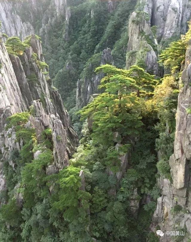 植物大战僵尸21